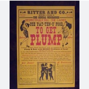 Collectible Funny Repo Poster HOW to GET PLUMP and Rosy - Poster Board
